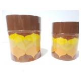 Two retro kitchen canister tins