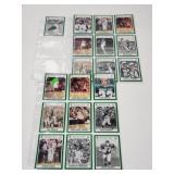 Michigan State sports cards