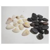 Collection if sea shells and black stones