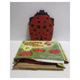 Set of plastic lady bug steppong stones