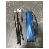 Old vintage golf clubs w/ blue golf bag