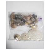 Collection of stones and sand dollars