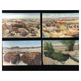 Vintage Petrified Forest post card set  - 1940