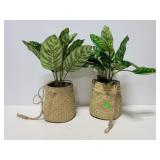 Two Threshold faux hanging plants