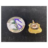 Pair of Michigan sports pin & pendant