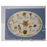 Rocky Mountain Wildflowers dried flower art