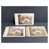 Lot of antique camping photographs