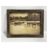 Antique frame cattle and buggy photograph