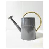 New gray metal watering can