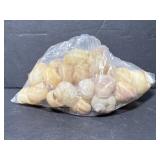 Lot bag of seashells