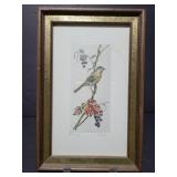 Bird etching, framed
