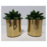 Two Project 62 faux succulent plants