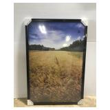 Large 24 x 36 poster frame