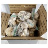 Big box of seashells