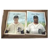 1967 Detroit Tigers player photo prints