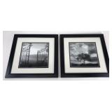 Two framed photo prints