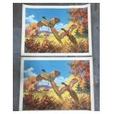 Two vintage pheasant prints