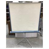 Radiant Cinemaster projection screen