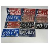 Michigan license plate lot