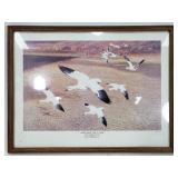 "Snow geese take a look" game art collection