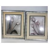 Framed flower art pair