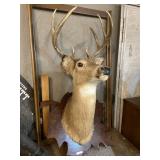 Deer Wall Mount