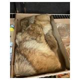 Coyote Mittens