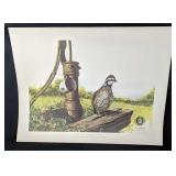 Tennessee Bobwhite Quail By Mcdonald Twra