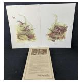 Pair Of Ralph Mcdonald Wildlife Prints