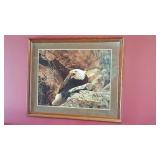 Framed Eagle Print