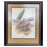 Bobwhite By Don Richard Eckelberry