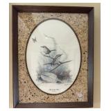 The Carolina Wren Signed R.J. McDonald The Carolina Wren Signed R.J. McDonald