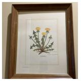 Signed & Framed Nellie Meadows Print Signed & Framed Nellie Meadows Print