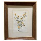 Signed & Framed Nellie Meadows Framed Art Signed & Framed Nellie Meadows Framed Art