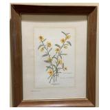 Signed & Framed Nellie Meadows Framed Art