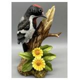 Red Headed Woodpecker - by Andrea w/Box Red Headed Woodpecker - by Andrea w/Box