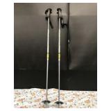 Scott Noram Ski Poles Scott Noram Ski Poles