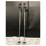 Scott Noram  Ski Poles