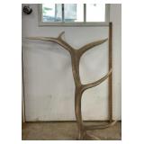 South Dakota Elk Antler Shed