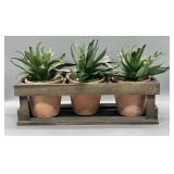 Rustic Faux Succulent Planter Set