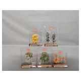 HO Scale Title Coming Soon