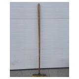 Yellow broom