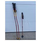 3 ski poles