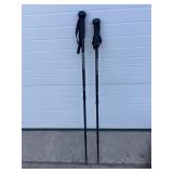 2 black walking sticks