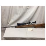 Savage mod 12.  22-250