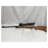 Savage Anschutz 22 mag