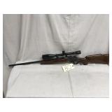 DEV Co Inc 22 hornet with scope