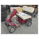 Cricket ESV Mobility Cart Scooter