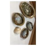 Lot of (5) Ocean Shells most are mother of pearl
