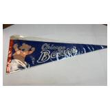 Vintage NFL Chacgo Bears Full Size Pennant 1960's